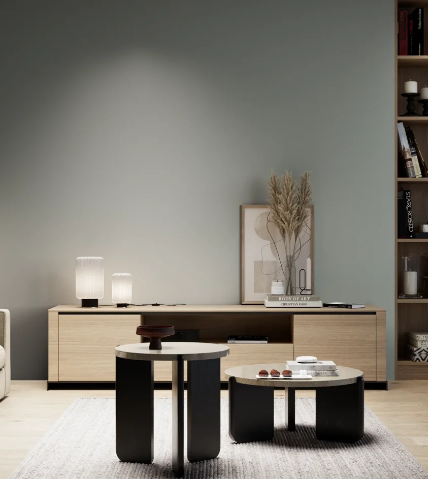 P10_SNIEZKA_salon_05_zimne_GREY_S4005-G