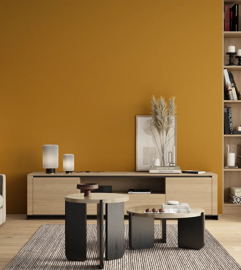 P10_SNIEZKA_salon_00_neutral_GREY_RAL1005