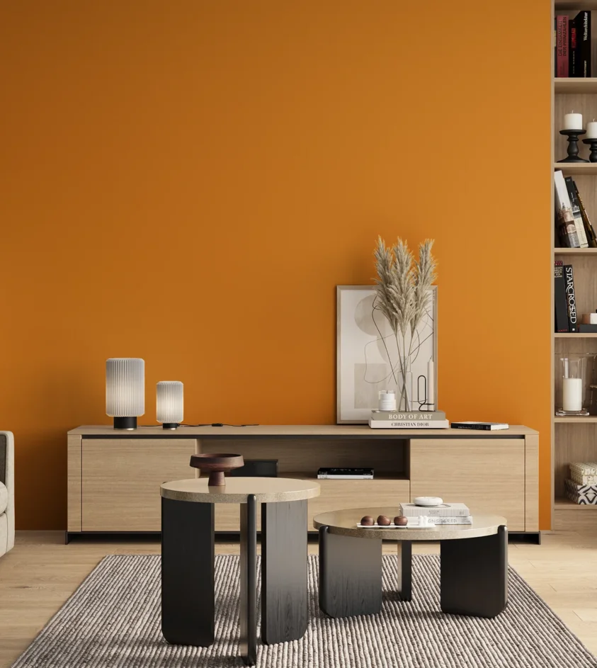 P10_SNIEZKA_salon_00_neutral_GREY_RAL1007