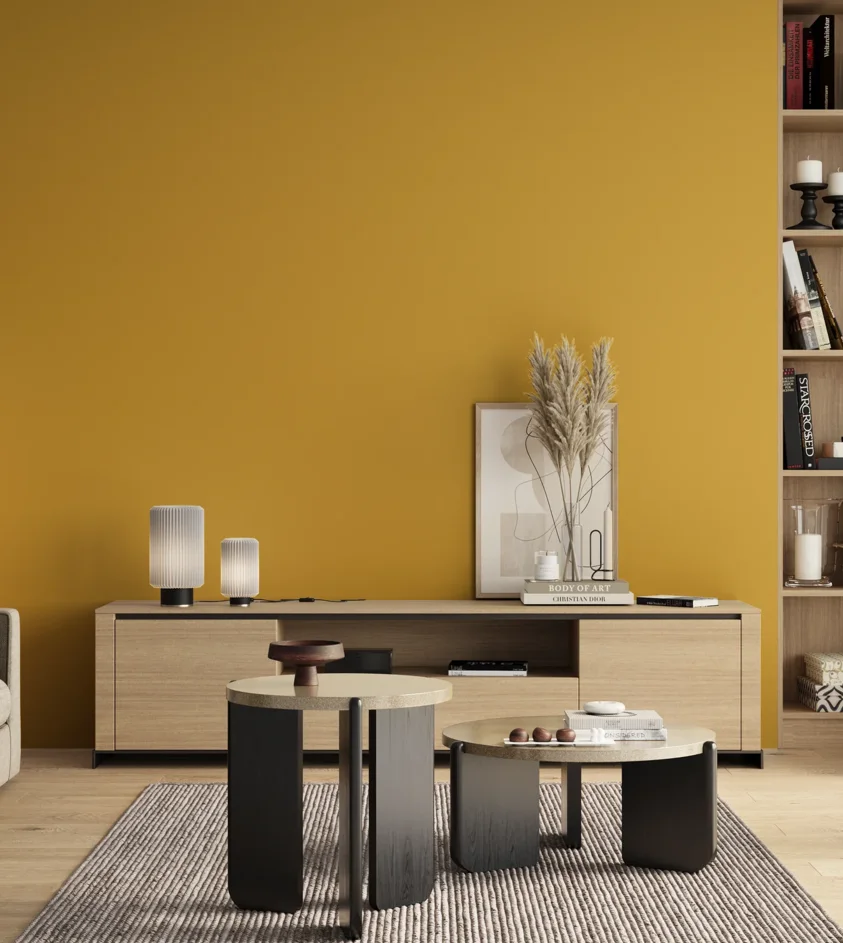 P10_SNIEZKA_salon_00_neutral_GREY_RAL1012