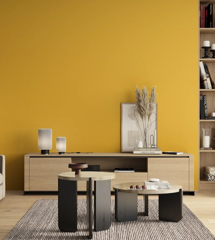 P10_SNIEZKA_salon_00_neutral_GREY_RAL1018