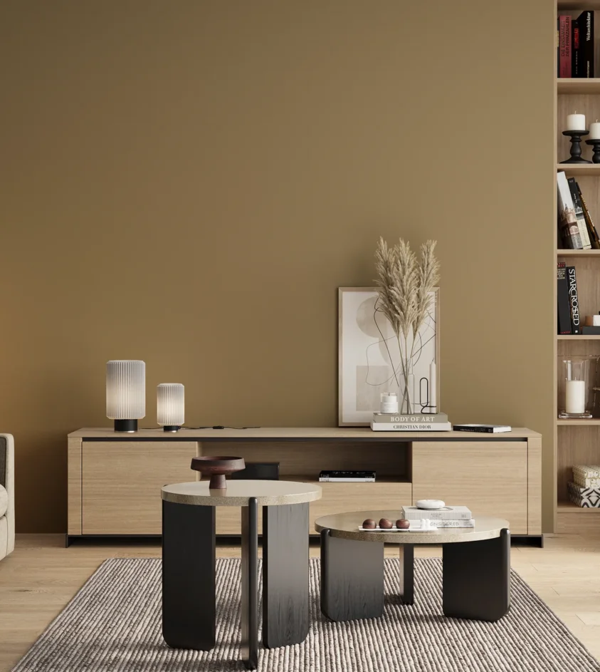 P10_SNIEZKA_salon_00_neutral_GREY_RAL1020