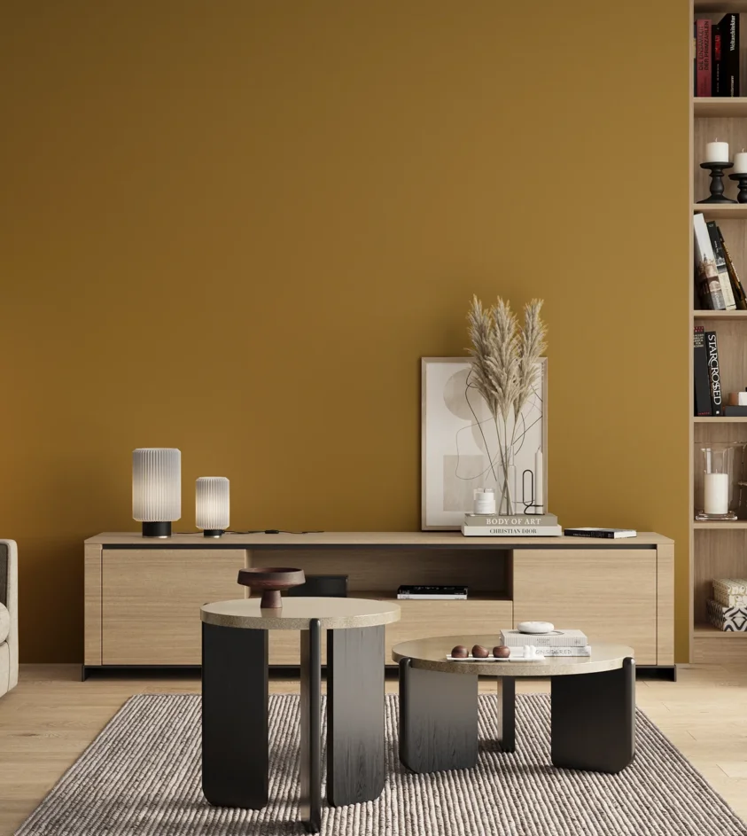 P10_SNIEZKA_salon_00_neutral_GREY_RAL1027