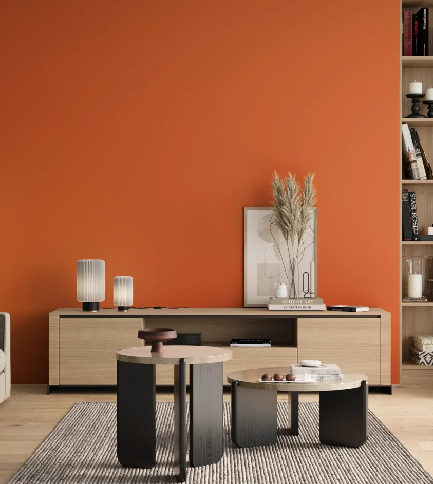P10_SNIEZKA_salon_00_neutral_GREY_RAL2008