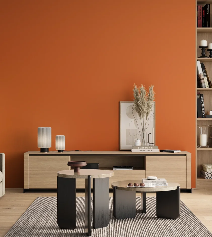 P10_SNIEZKA_salon_00_neutral_GREY_RAL2011