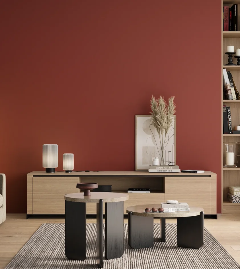 P10_SNIEZKA_salon_00_neutral_GREY_RAL3013