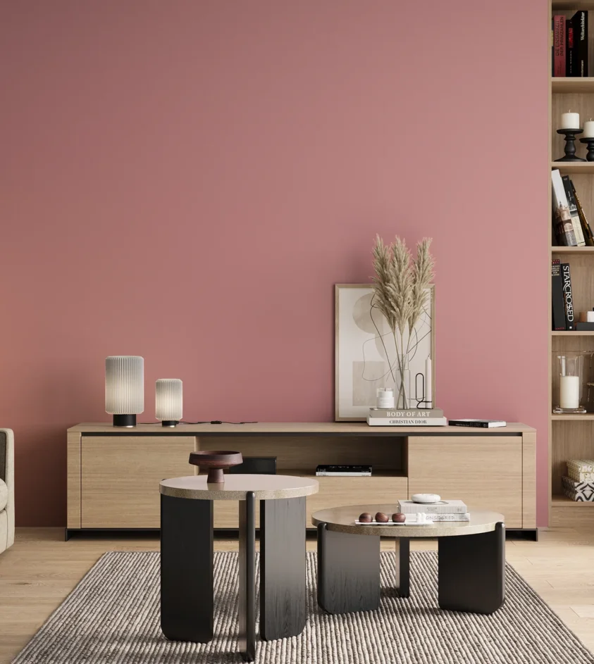 P10_SNIEZKA_salon_00_neutral_GREY_RAL3015