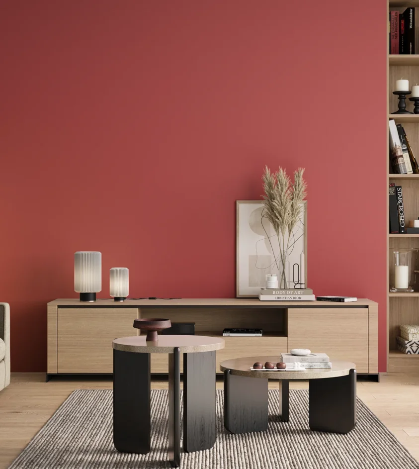 P10_SNIEZKA_salon_00_neutral_GREY_RAL3017