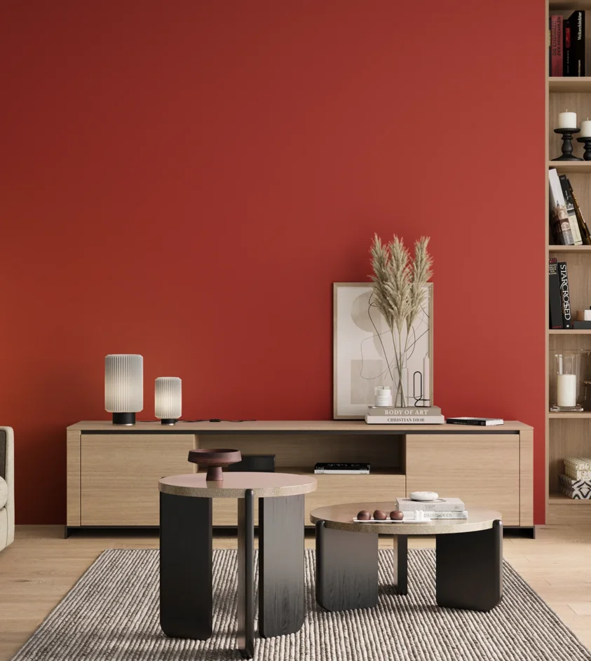 P10_SNIEZKA_salon_00_neutral_GREY_RAL3020