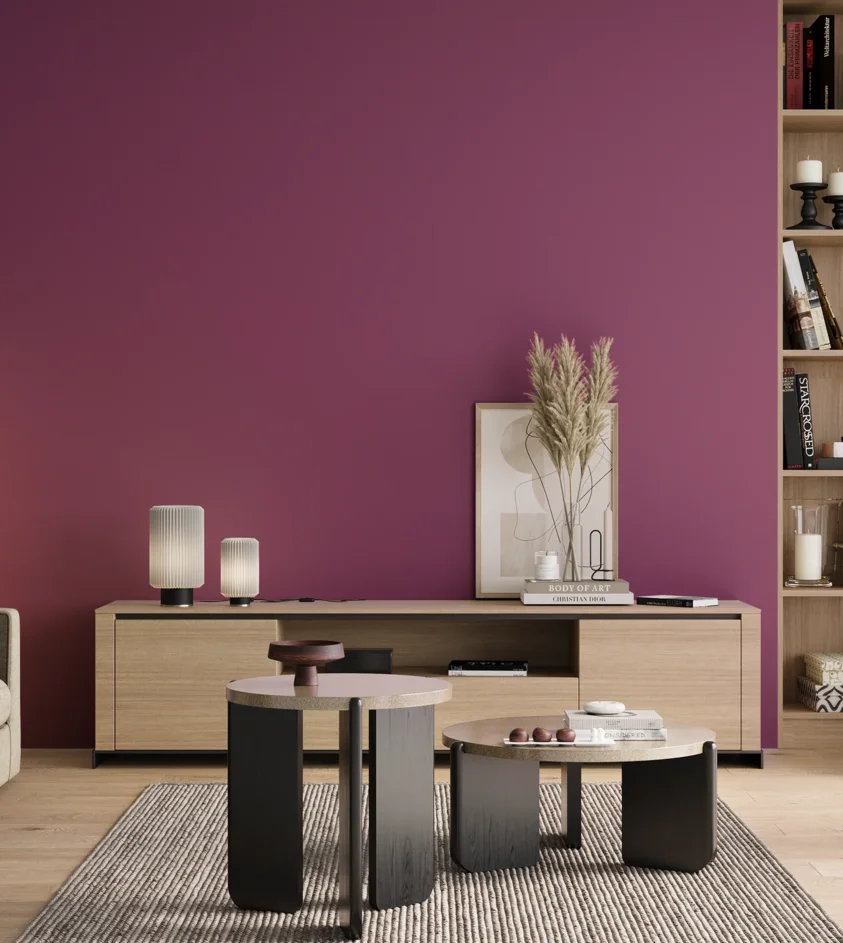 P10_SNIEZKA_salon_00_neutral_GREY_RAL4006