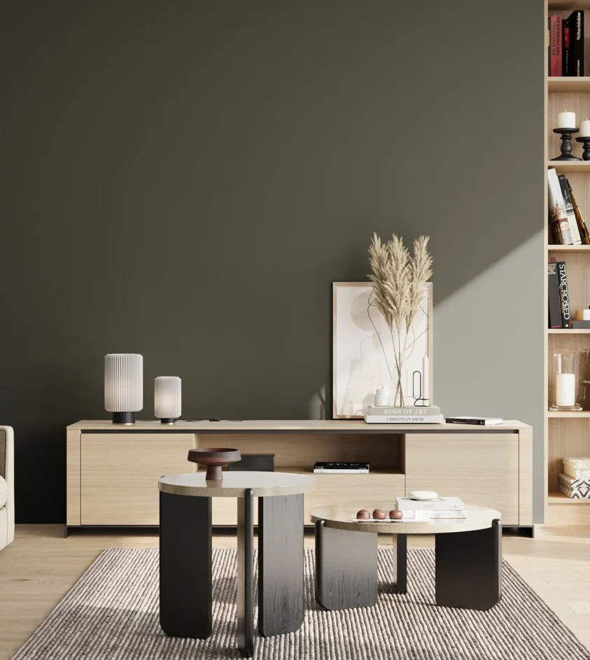 P10_SNIEZKA_salon_02_poludnie_GREY_RAL6009