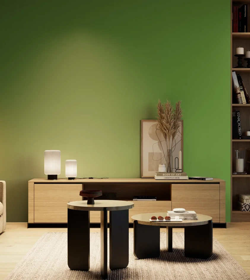 P10_SNIEZKA_salon_04_cieple_GREY_RAL6018