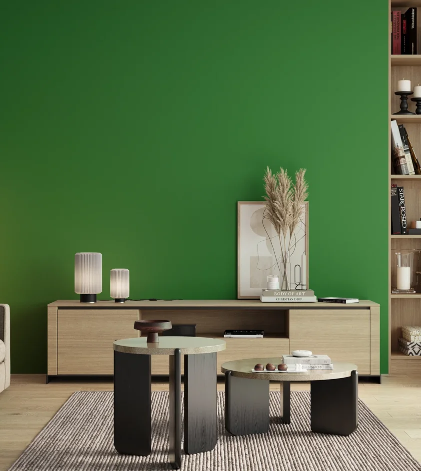 P10_SNIEZKA_salon_00_neutral_GREY_RAL6037