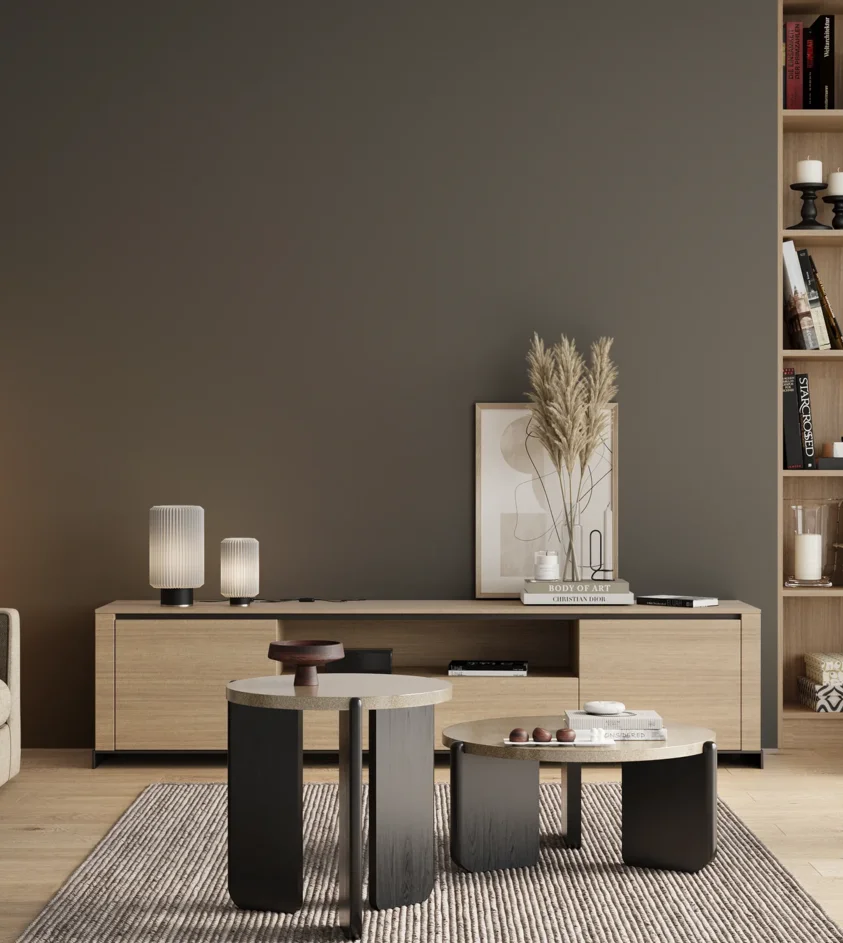 P10_SNIEZKA_salon_00_neutral_GREY_RAL7010