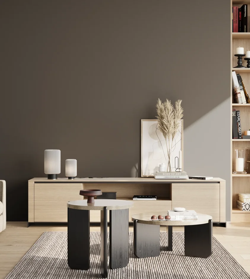 P10_SNIEZKA_salon_02_poludnie_GREY_RAL7022