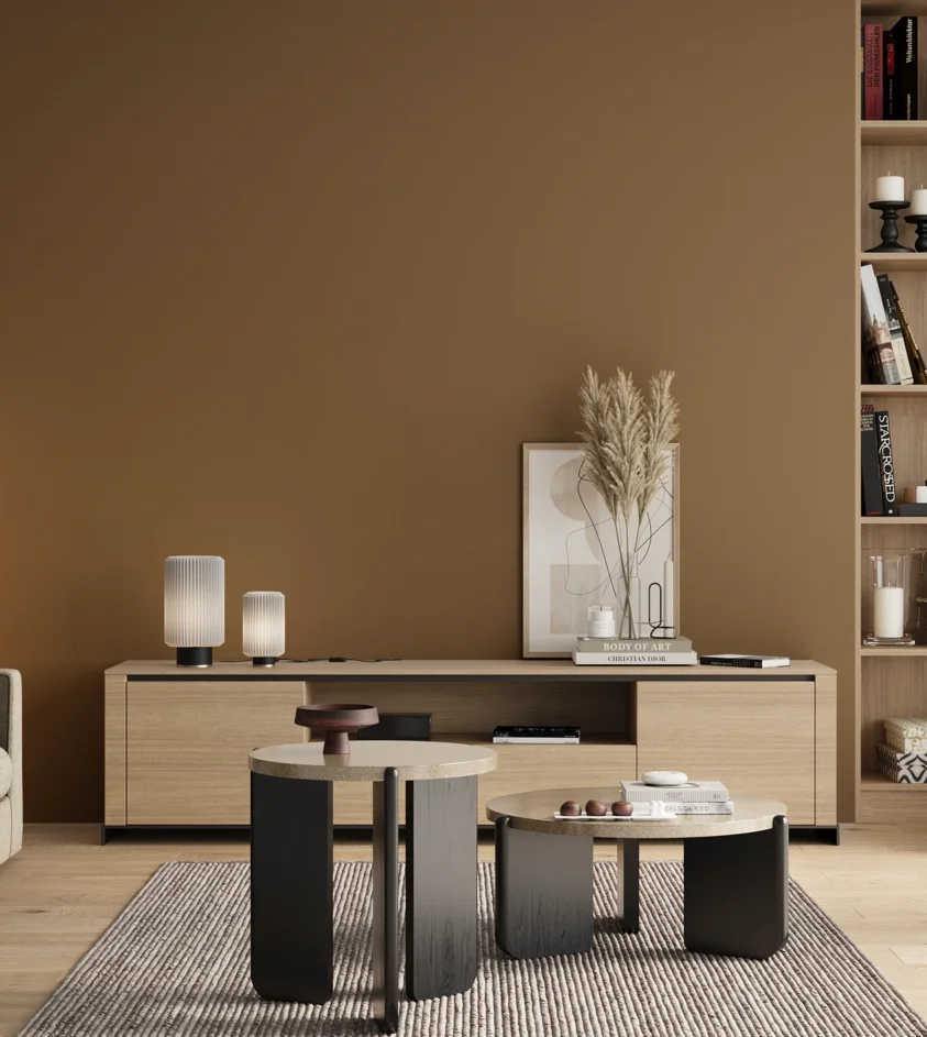P10_SNIEZKA_salon_00_neutral_GREY_RAL8000
