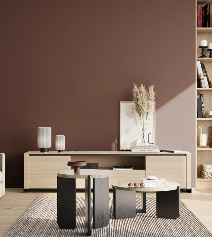 P10_SNIEZKA_salon_02_poludnie_GREY_RAL8015