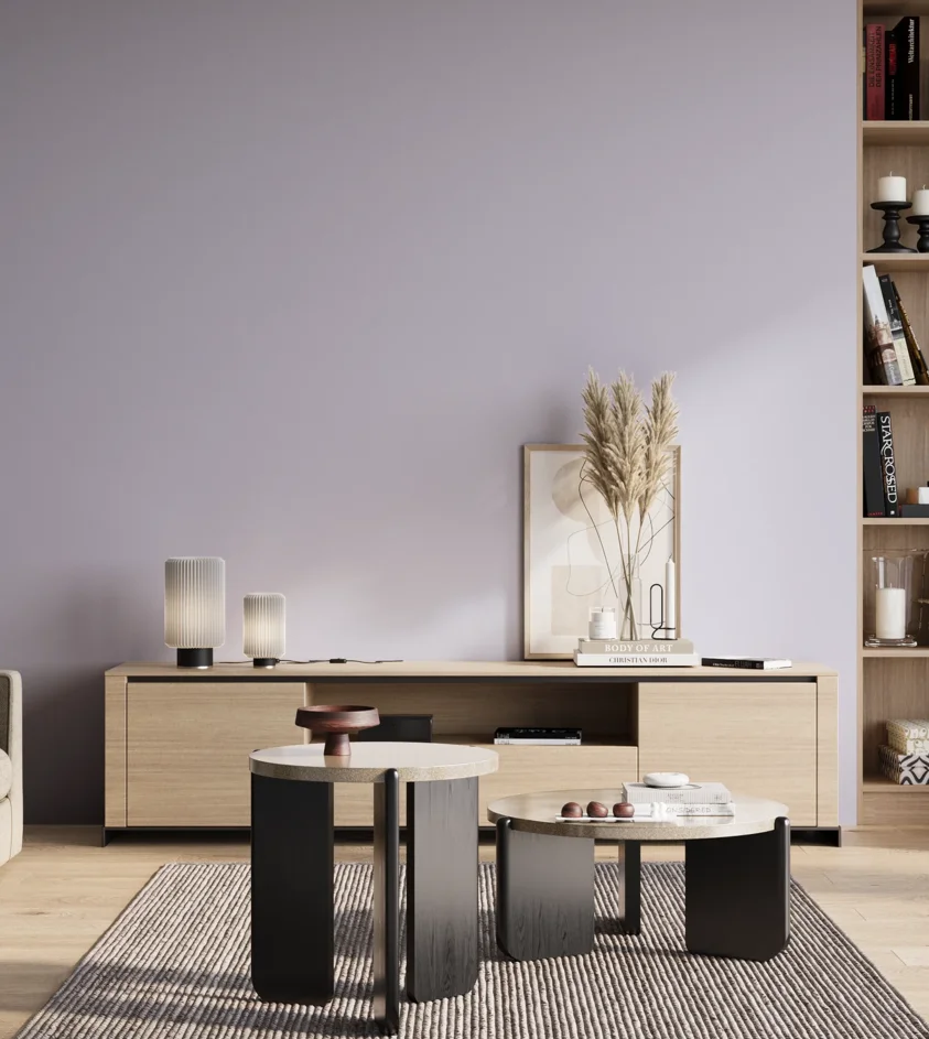 P10_SNIEZKA_salon_01_poranek_GREY_S0520-R60B