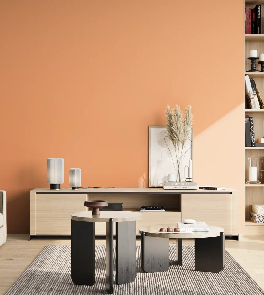 P10_SNIEZKA_salon_02_poludnie_GREY_S0540-Y50R