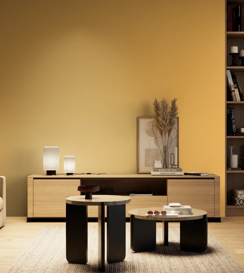 P10_SNIEZKA_salon_04_cieple_GREY_S0550-Y20R