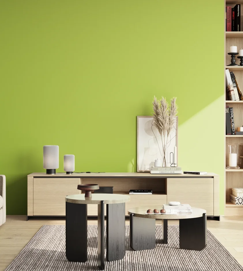 P10_SNIEZKA_salon_02_poludnie_GREY_S0560-G50Y