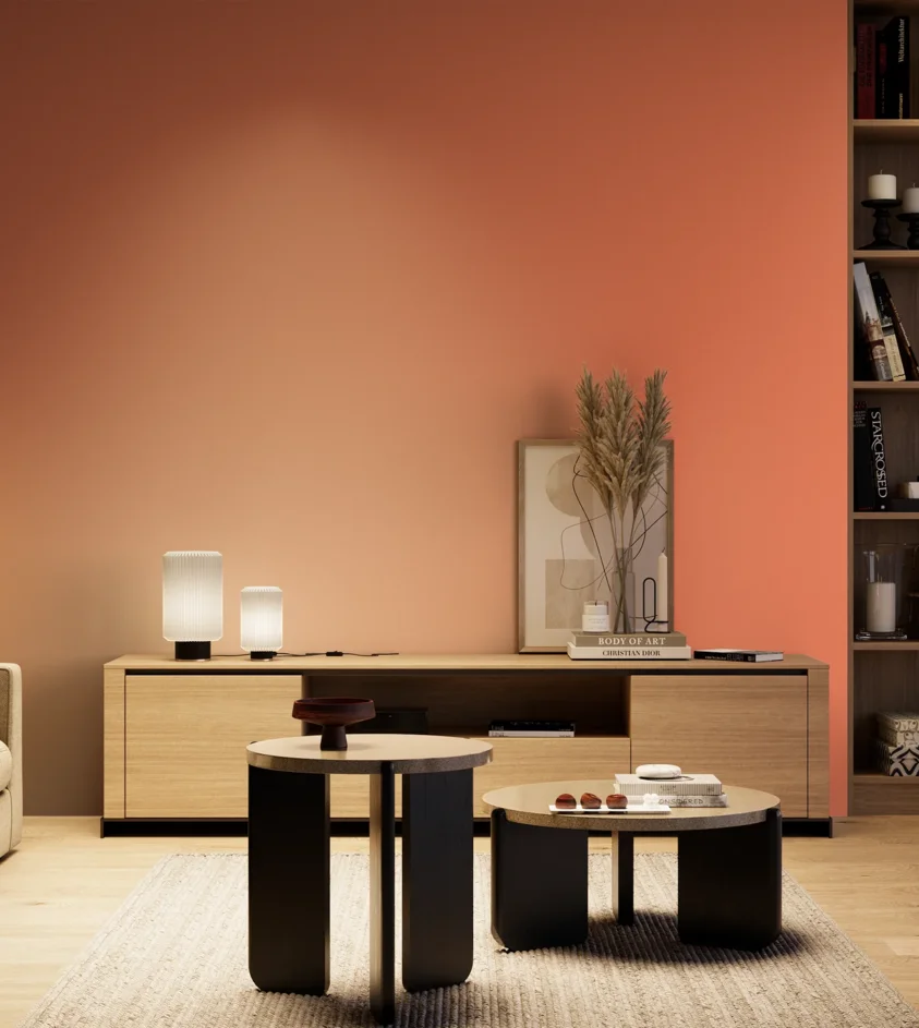 P10_SNIEZKA_salon_04_cieple_GREY_S0560-Y70R