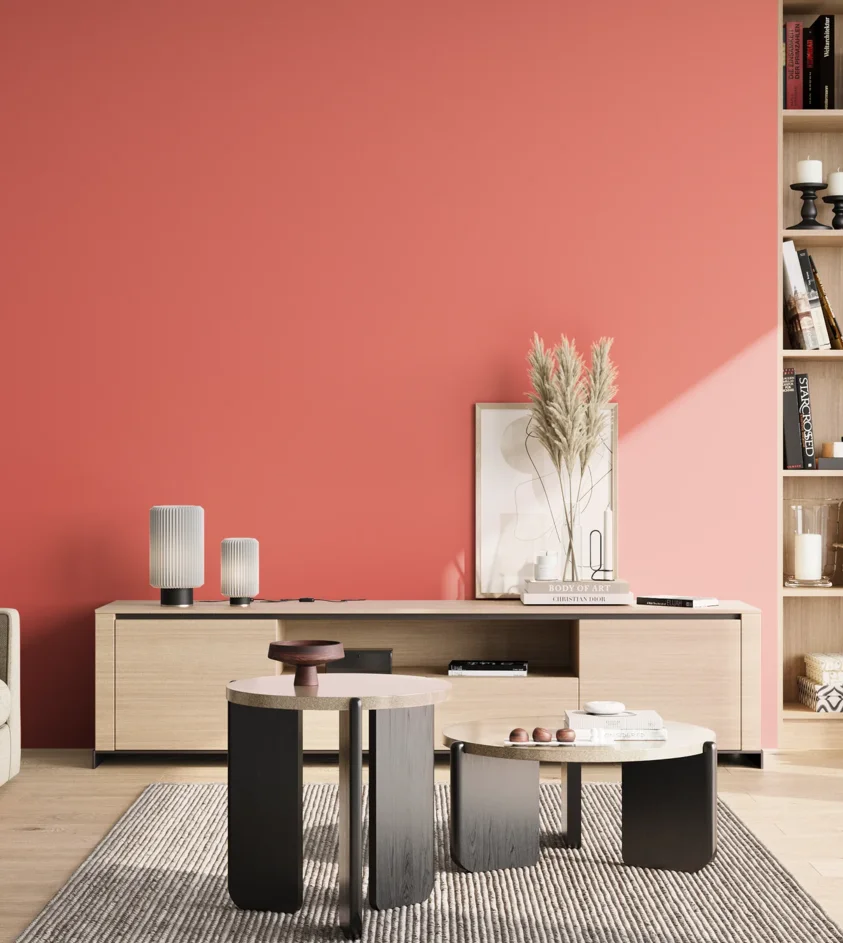 P10_SNIEZKA_salon_02_poludnie_GREY_S0560-Y90R