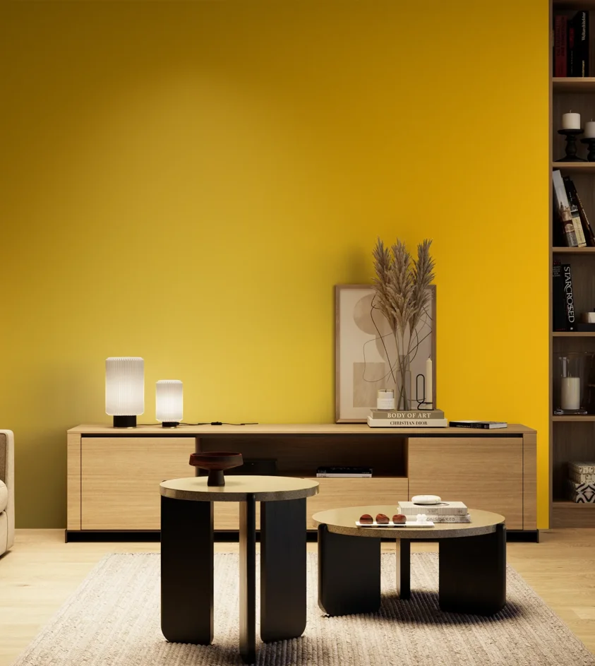 P10_SNIEZKA_salon_04_cieple_GREY_S0580-Y10R