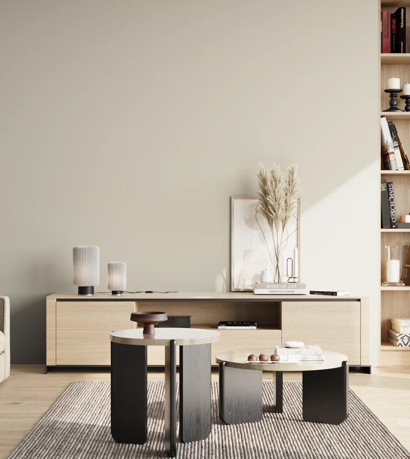 P10_SNIEZKA_salon_02_poludnie_GREY_S1002-Y