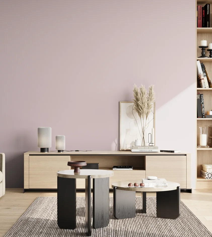 P10_SNIEZKA_salon_02_poludnie_GREY_S1010-R30B