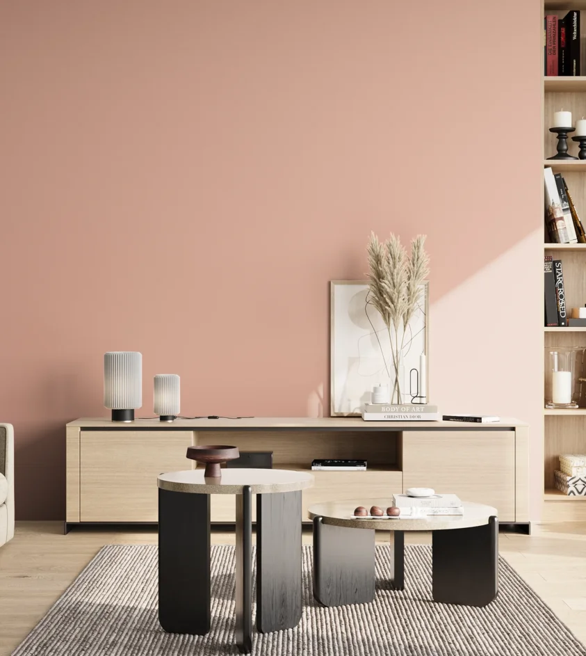 P10_SNIEZKA_salon_02_poludnie_GREY_S1020-Y80R