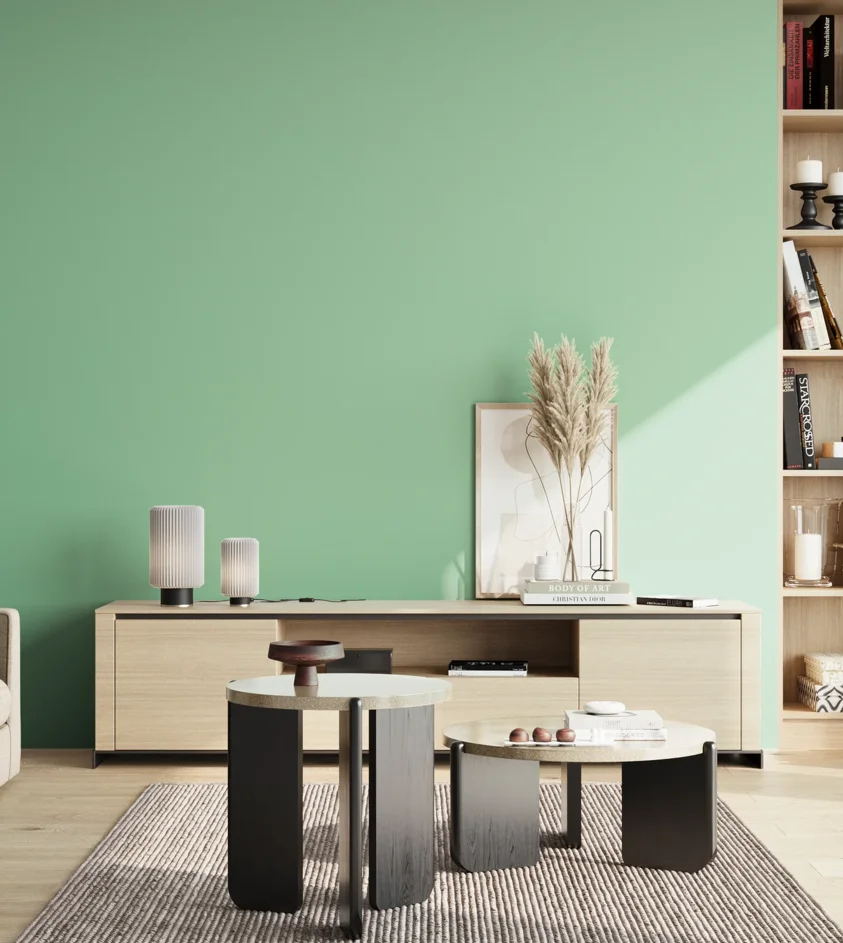 P10_SNIEZKA_salon_02_poludnie_GREY_S1030-G