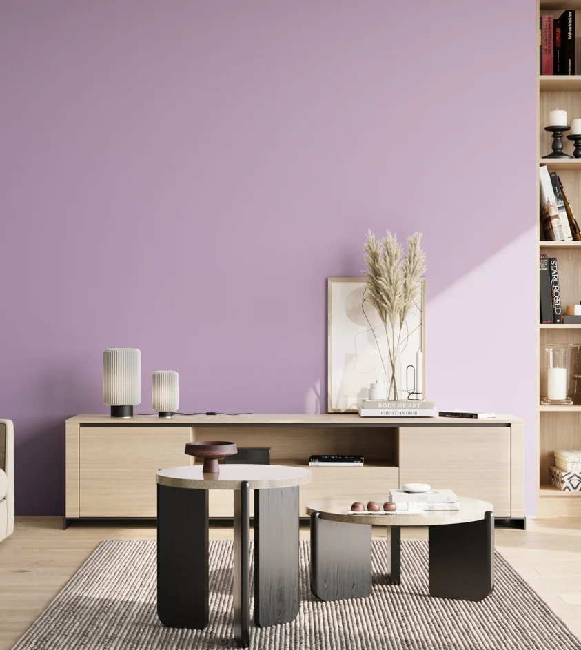 P10_SNIEZKA_salon_02_poludnie_GREY_S1030-R50B