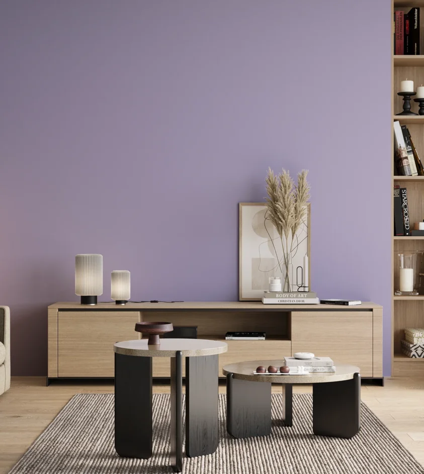 P10_SNIEZKA_salon_00_neutral_GREY_S1030-R60B