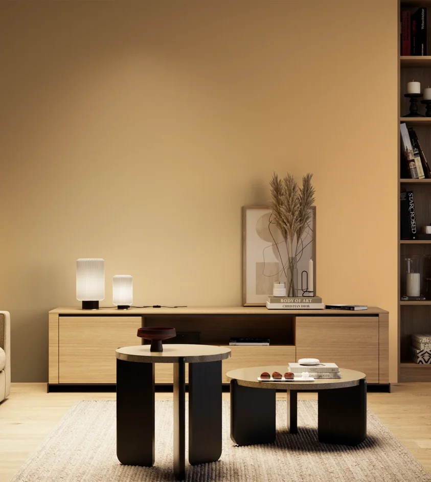 P10_SNIEZKA_salon_04_cieple_GREY_S1030-Y30R