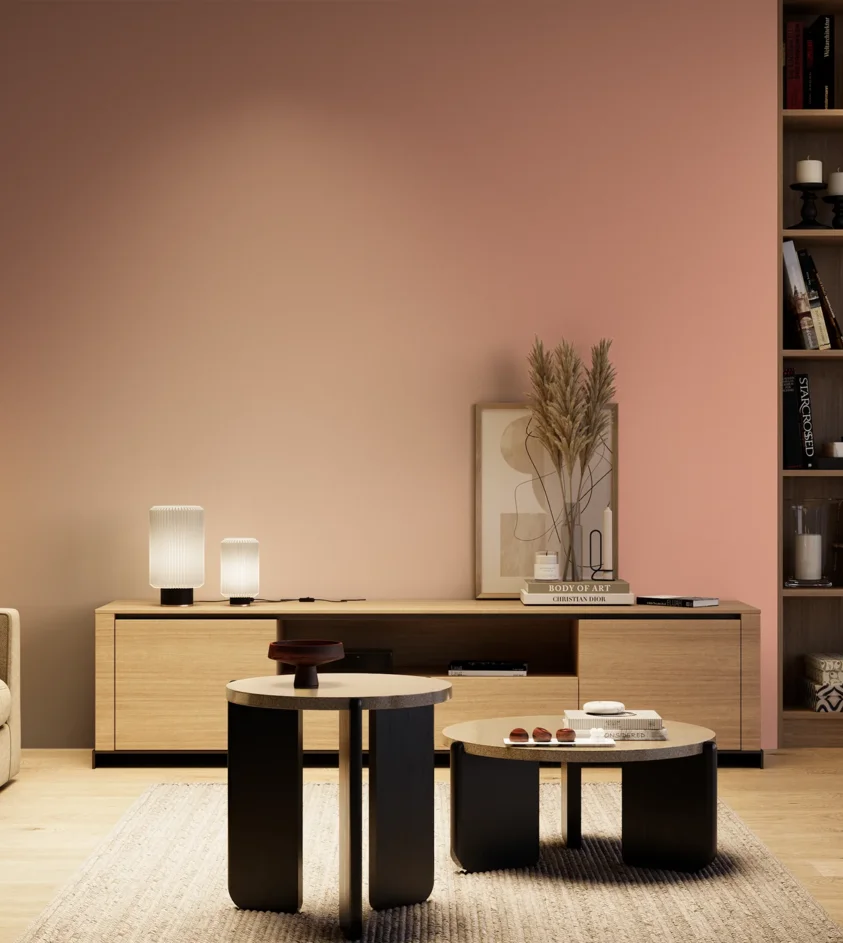P10_SNIEZKA_salon_04_cieple_GREY_S1030-Y80R