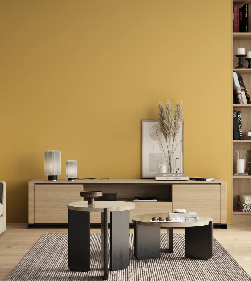 P10_SNIEZKA_salon_00_neutral_GREY_S1040-Y10R