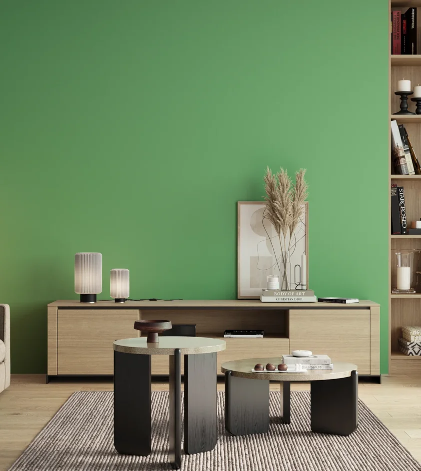 P10_SNIEZKA_salon_00_neutral_GREY_S1050-G10Y