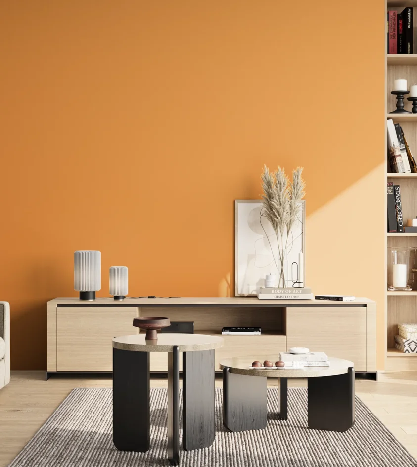 P10_SNIEZKA_salon_02_poludnie_GREY_S1060-Y30R