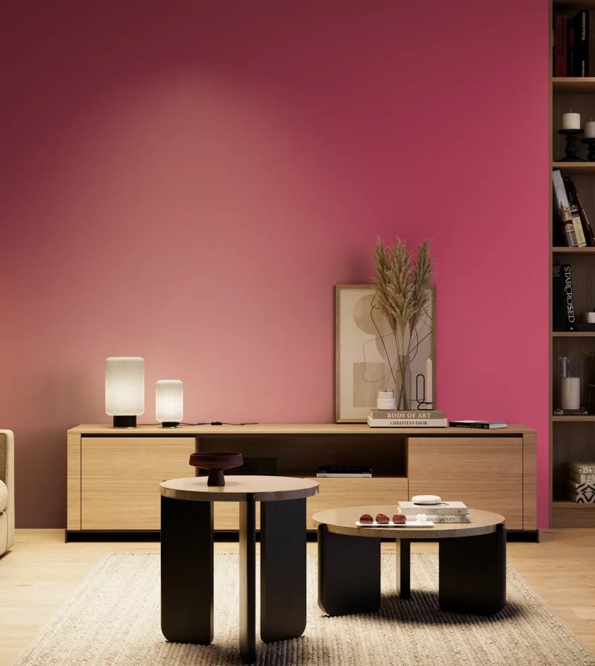 P10_SNIEZKA_salon_04_cieple_GREY_S1070-R20B