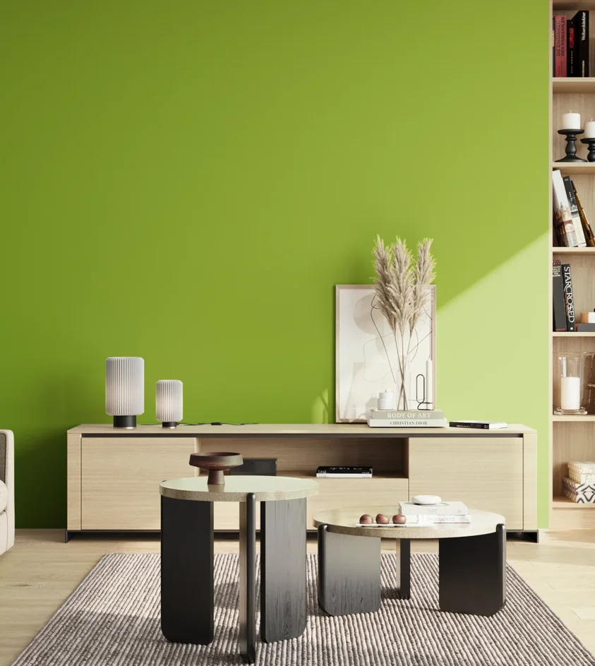 P10_SNIEZKA_salon_02_poludnie_GREY_S1075-G40Y