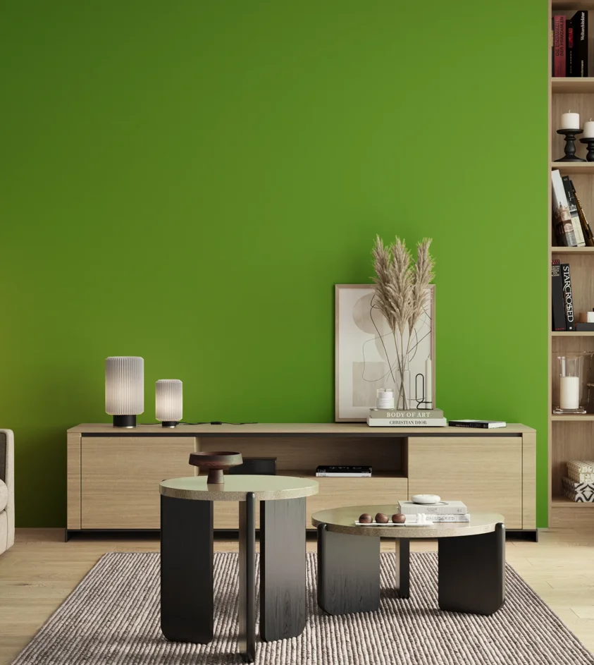 P10_SNIEZKA_salon_00_neutral_GREY_S1080-G30Y