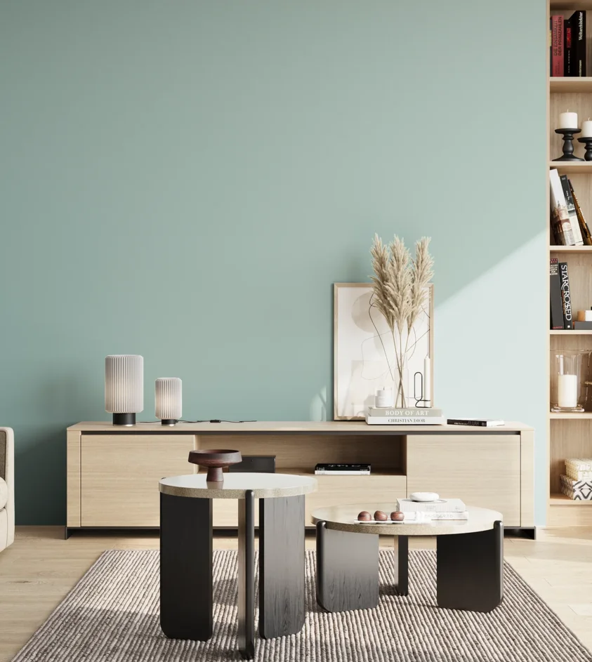 P10_SNIEZKA_salon_02_poludnie_GREY_S1515-B50G