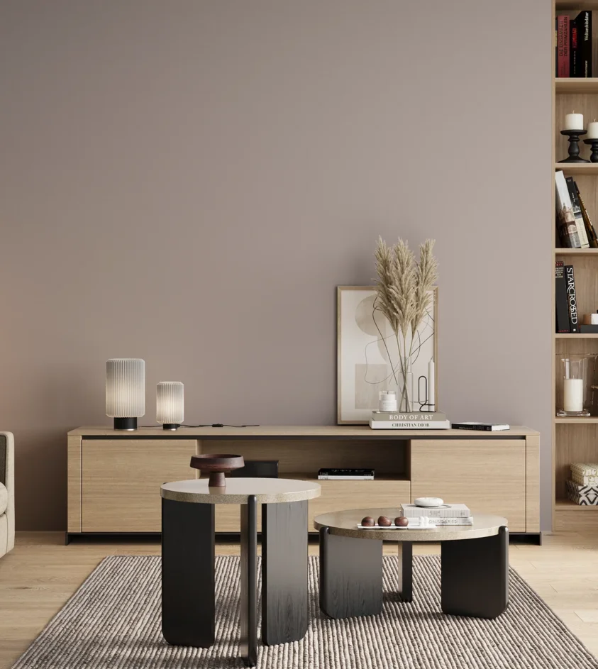 P10_SNIEZKA_salon_00_neutral_GREY_S2005-R10B