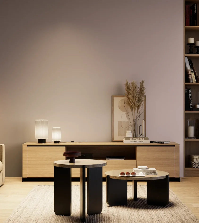 P10_SNIEZKA_salon_04_cieple_GREY_S2010-R20B