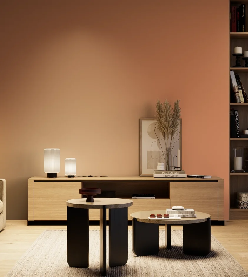 P10_SNIEZKA_salon_04_cieple_GREY_S2040-Y60R