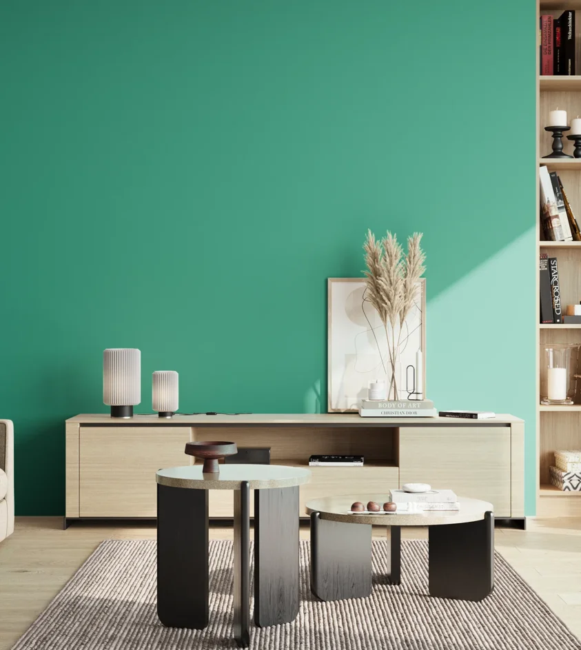 P10_SNIEZKA_salon_02_poludnie_GREY_S2050-B80G
