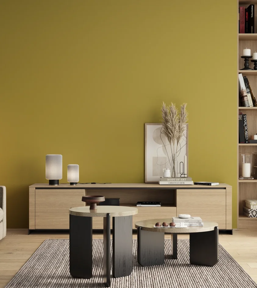 P10_SNIEZKA_salon_00_neutral_GREY_S2050-G90Y
