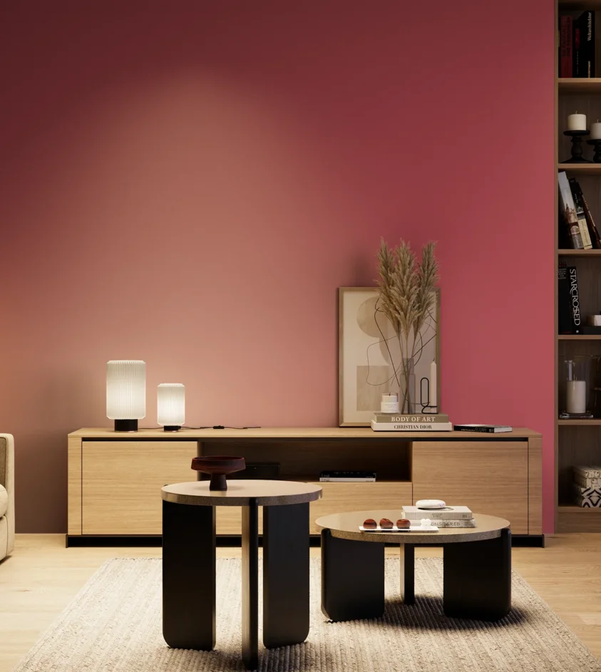 P10_SNIEZKA_salon_04_cieple_GREY_S2060-R10B