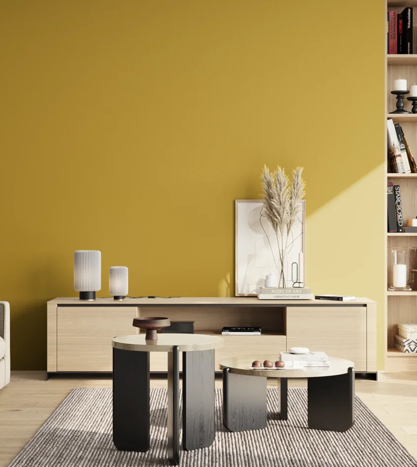 P10_SNIEZKA_salon_02_poludnie_GREY_S2060-Y